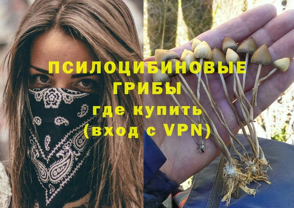 прущие грибы Абдулино