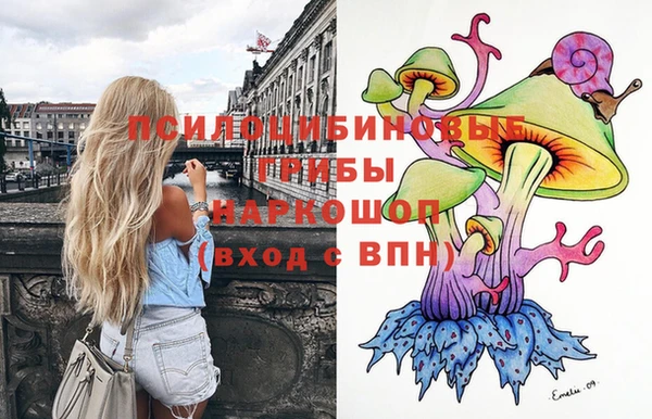 соль ск Абаза
