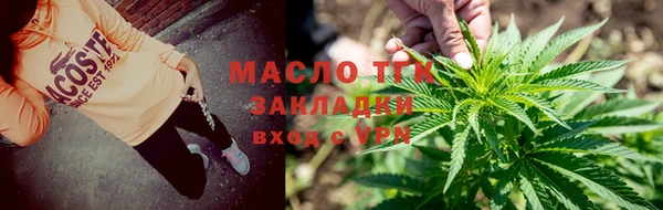 прущие грибы Абдулино