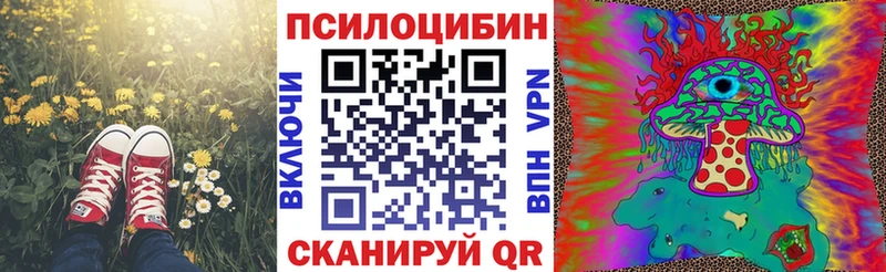 Галлюциногенные грибы мухоморы  наркошоп  Керчь 
